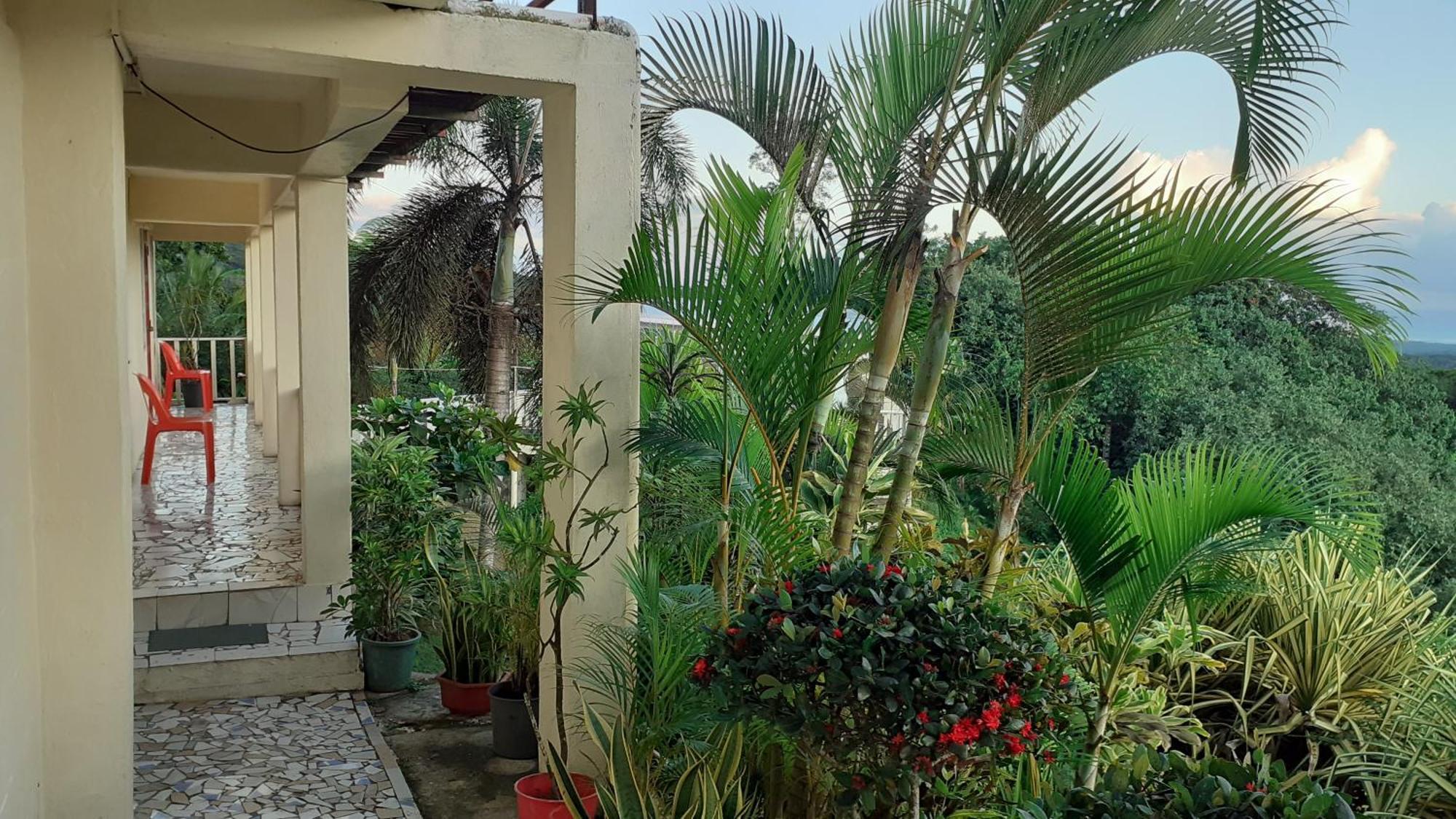 Dave Parker Eco Lodge Hotel アピア エクステリア 写真