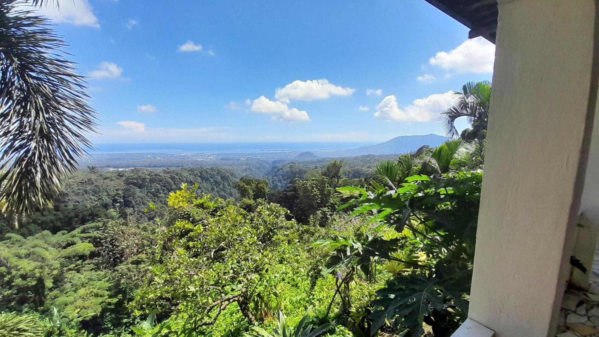 Dave Parker Eco Lodge Hotel アピア エクステリア 写真