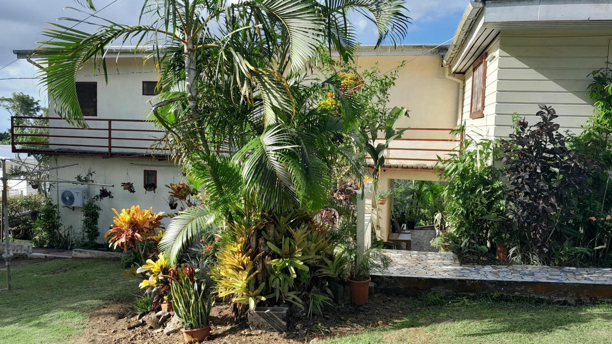 Dave Parker Eco Lodge Hotel アピア エクステリア 写真