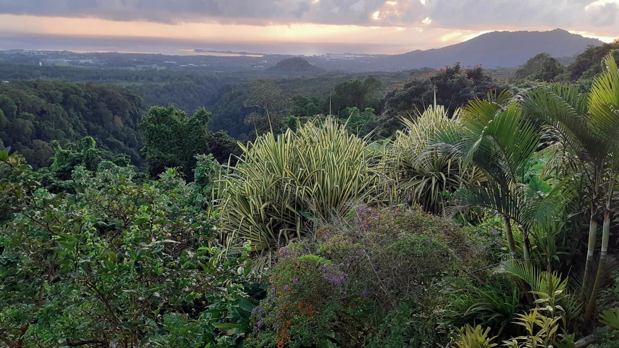 Dave Parker Eco Lodge Hotel アピア エクステリア 写真