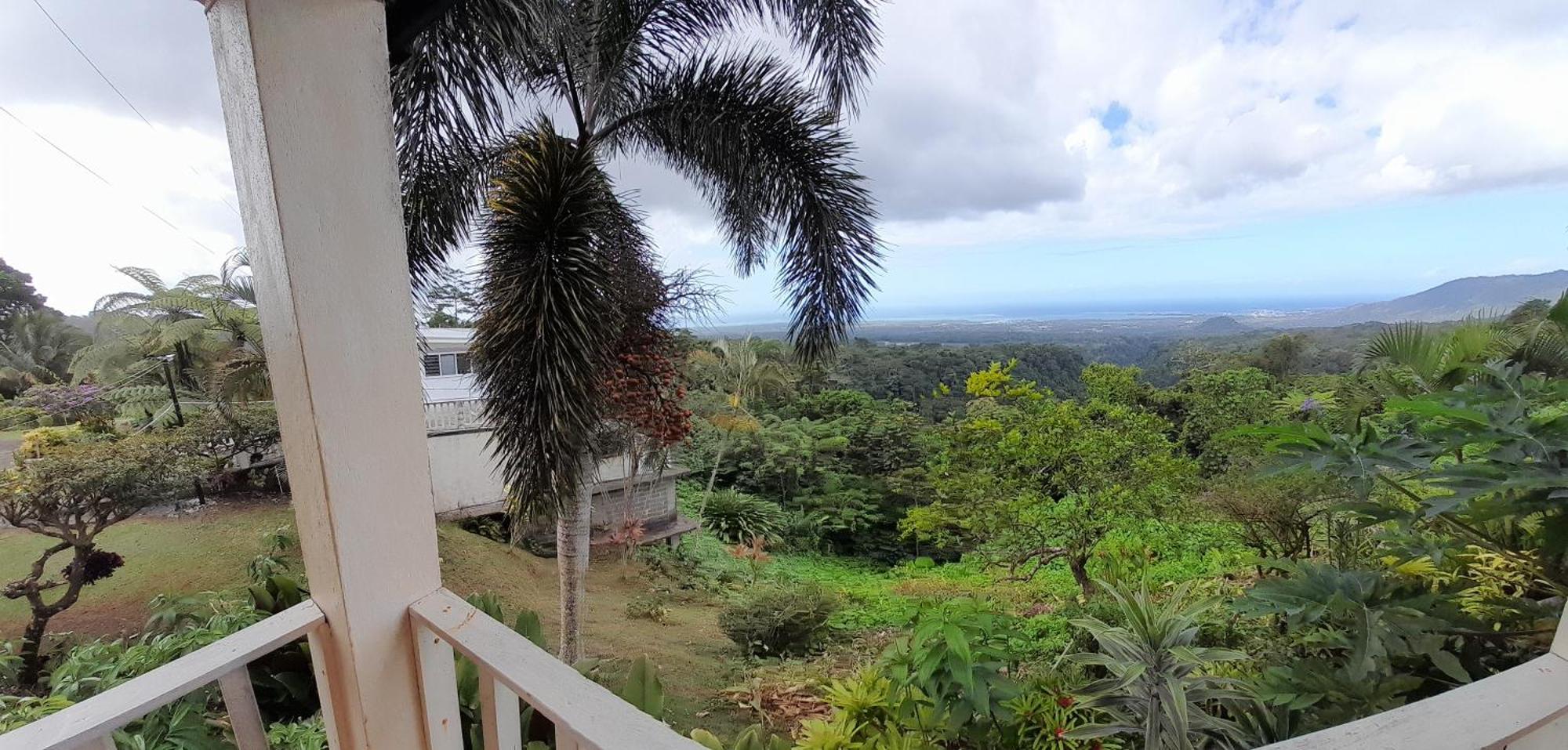 Dave Parker Eco Lodge Hotel アピア エクステリア 写真