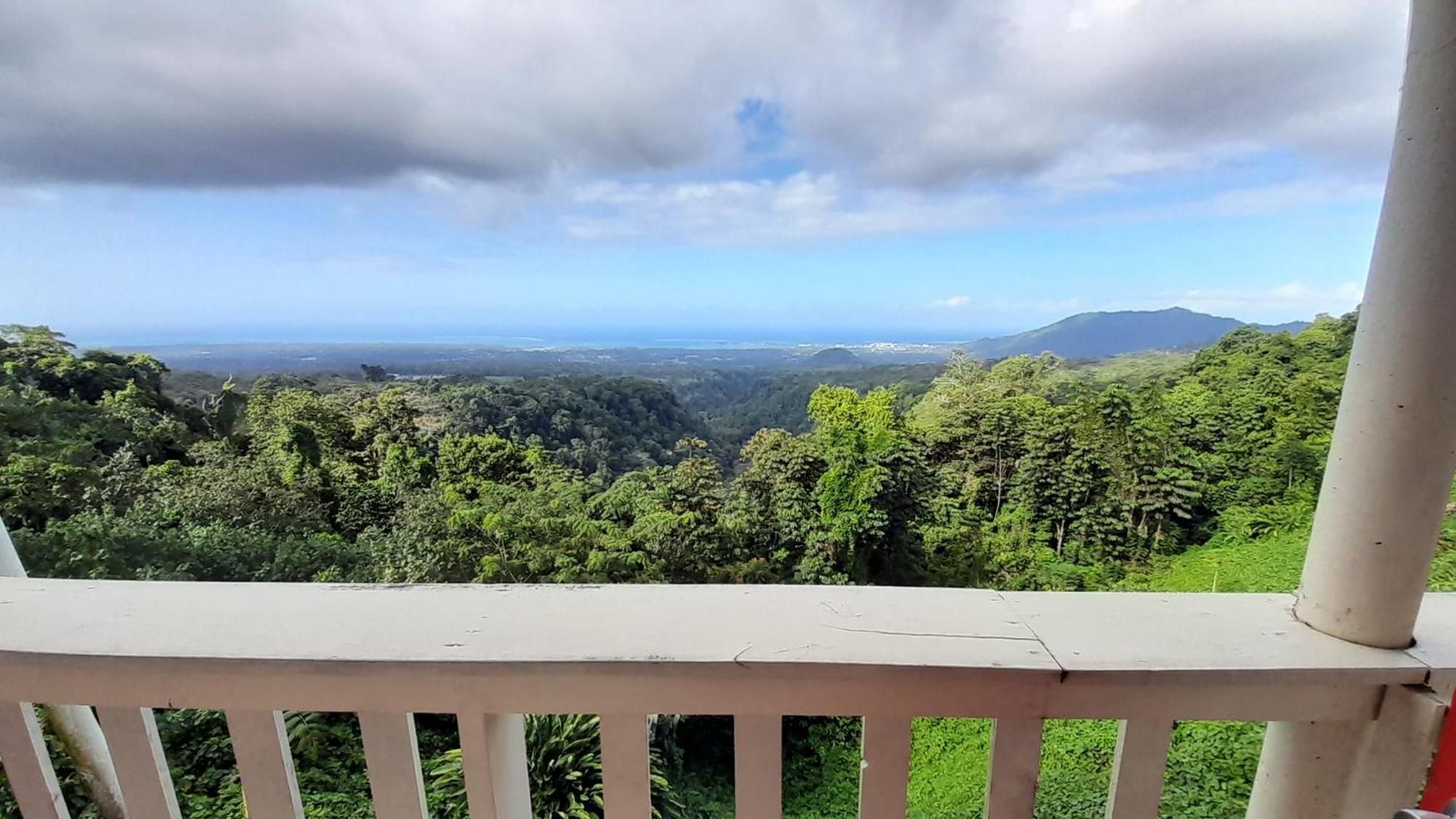 Dave Parker Eco Lodge Hotel アピア エクステリア 写真