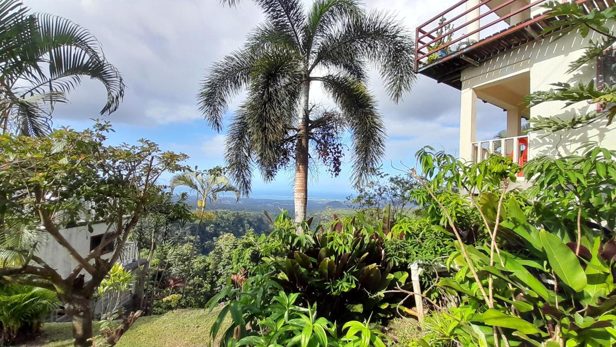 Dave Parker Eco Lodge Hotel アピア エクステリア 写真