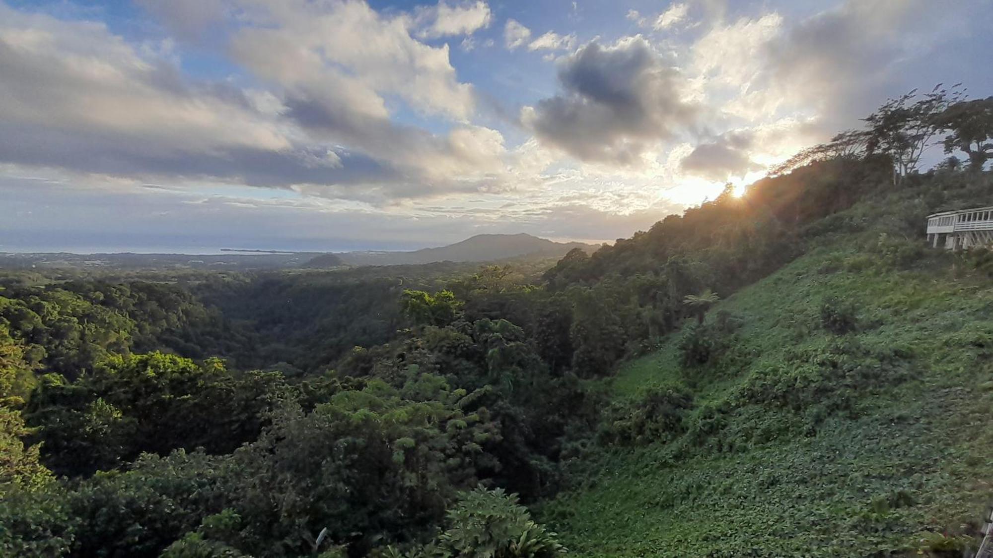 Dave Parker Eco Lodge Hotel アピア エクステリア 写真