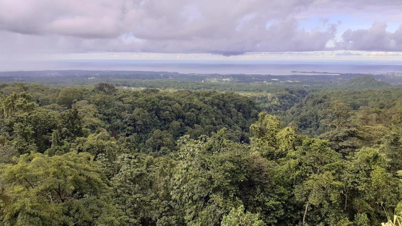 Dave Parker Eco Lodge Hotel アピア エクステリア 写真