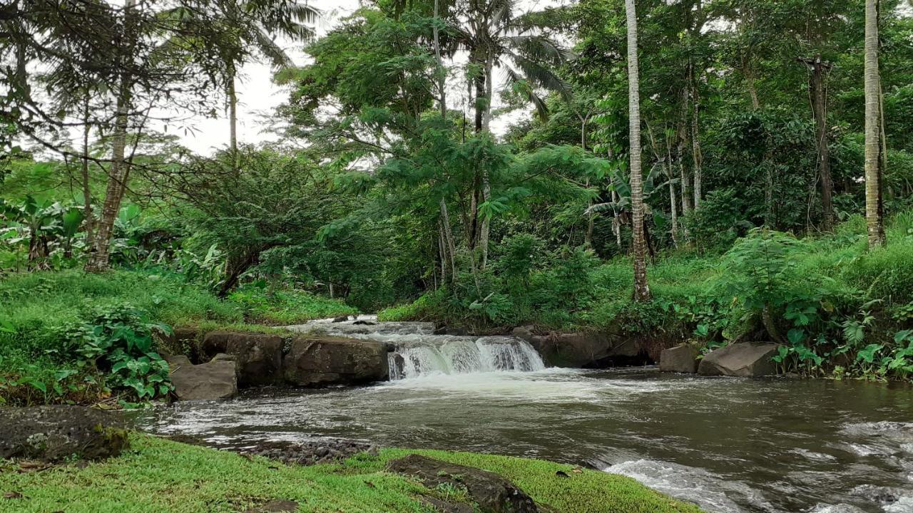 Dave Parker Eco Lodge Hotel アピア エクステリア 写真